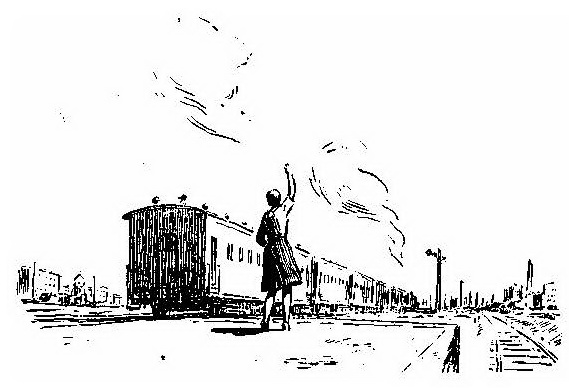 01 (16)